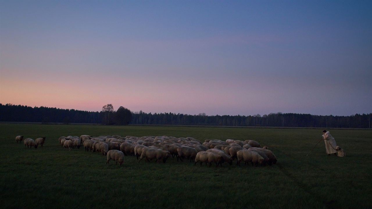 Im Land der Wölfe : Bild