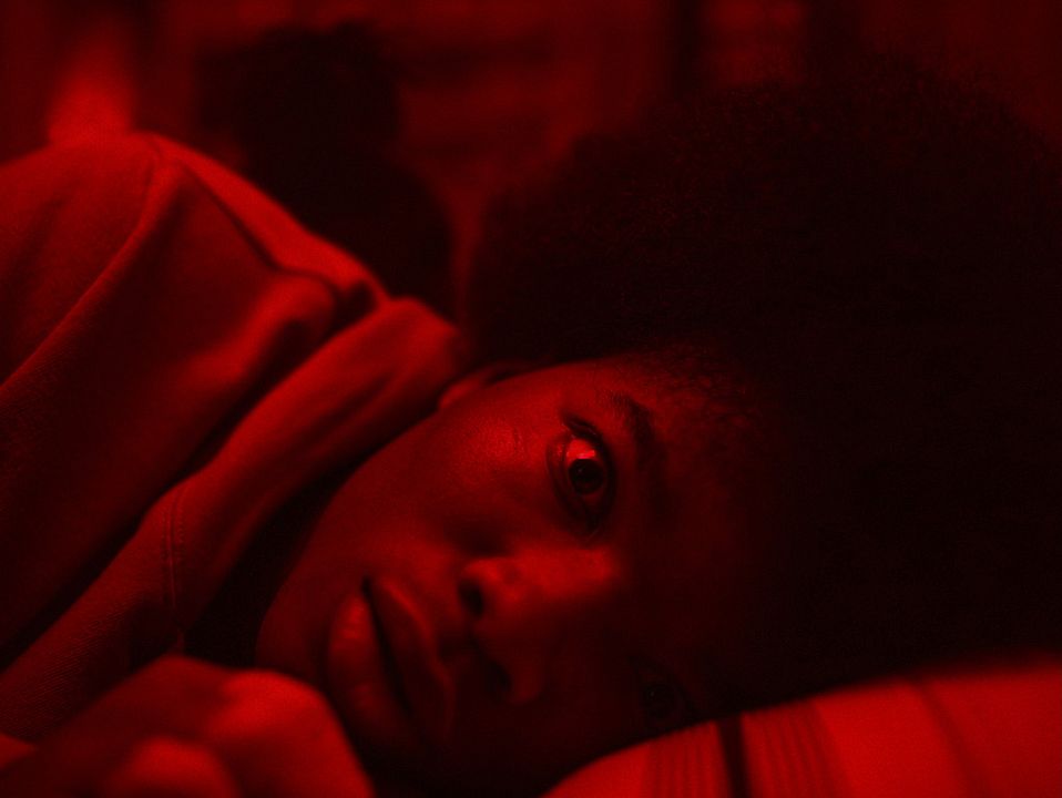 Bild Joshua J. Williams