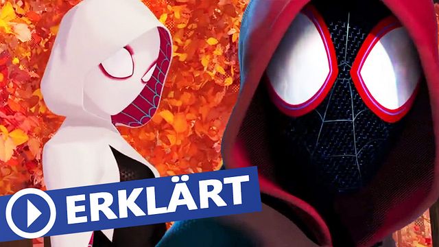 Vorsichtig... dieses Video ist definitiv nichts für Spinnenphobiker. Denn in diesem Video werden wir über sehr viel Spinnen reden. Allerdings nicht wirklich über die ekligen achtbeinigen haarigen kleinen Krabbelviecher, sondern vielmehr über viele freundliche Spinnen aus den verschiedenen Nachbarschaften des Universums. Noch nicht verwirrt genug, dann ist's ja gut. Wir stürzen uns jetzt Kopf über in das SpiderVerse und zeigen euch alles Wichtige, was ihr dazu wissen müsst!