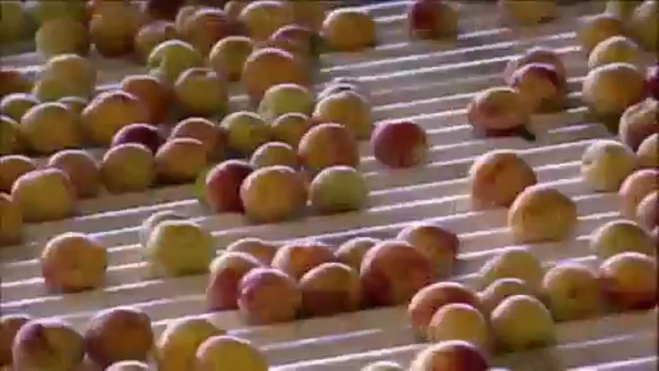 Food, Inc. Trailer Food, Inc. Trailer DF FILMSTARTS.de