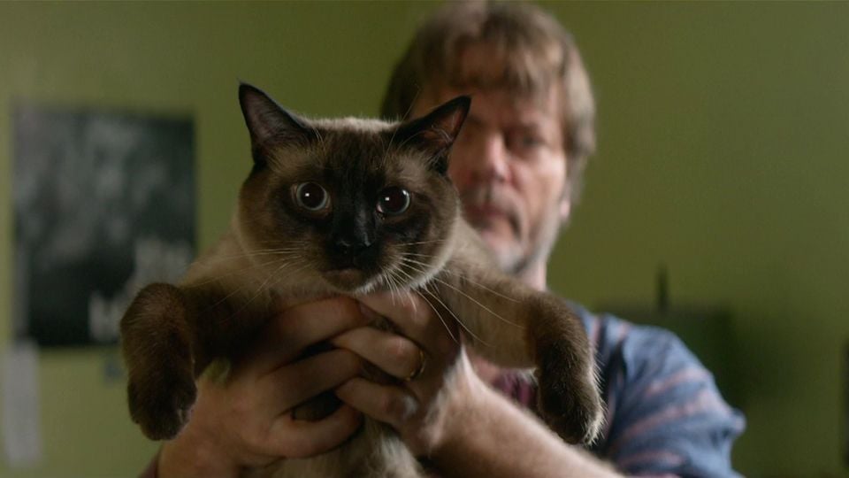 Ich Und Earl Und Das Mädchen Trailer Ich und Earl und das Mädchen Trailer - Ich und Earl und das Mädchen