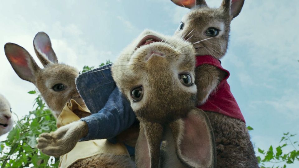 Peter Hase Film 2018 Filmstarts De